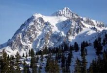 mt shuksan elevation