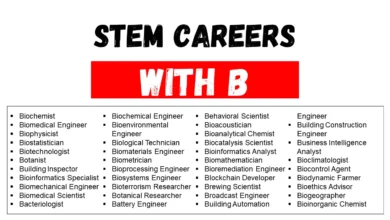 careers that start with b